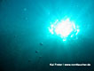 In 5 Meter Tiefe tanzen die Sonnenstrahlen durch das Wasser